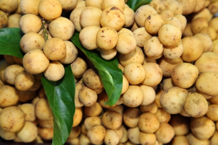 Fresh Lansium domesticum  Longkong  in Thailandの写真素材