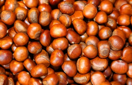 Sweet chestnuts ready for eatの写真素材