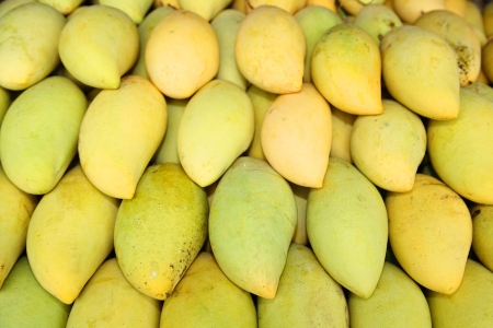 Raw mango in the market of Thailand  All mango managed for sale at Prajuabkerekan market, Thailandの写真素材