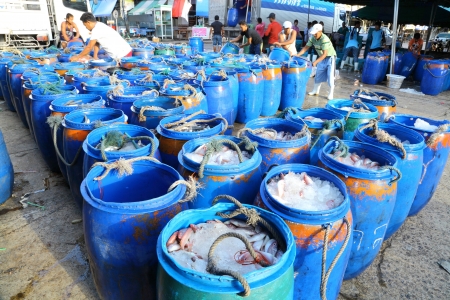 RANONG, THAILAND - JULY 16: The merchants arrange the bucket which plenty of fish and trade it in the biggest fish market one in southern of Thailand at Sapaanpla on July 16,2012 in Ranong, Thailand のeditorial素材