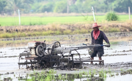 BANGKOK,THAILAND-NOVEMBER 21:The tradition farmer use a small machine prepare the soil for planting rice on the farm filed at Nong Jok on November 21,2012 in Bangkok,Thailand のeditorial素材