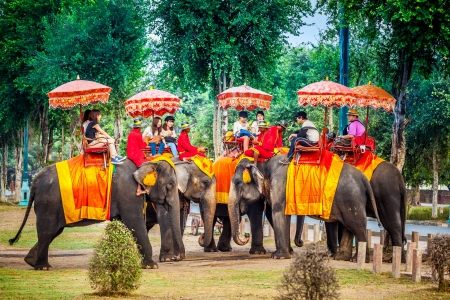 AYUTTHAYA,THAILAND-MARCH 17:The tourist have fun with ride on the elephant that wait for service the tourist when visit to make an experience at Mahathat temple on March 17,2013 in Ayutthaya,Thailand のeditorial素材