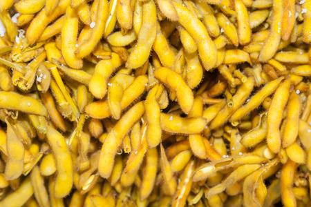 Boiled soy beans was sale in Thailand street marketの写真素材