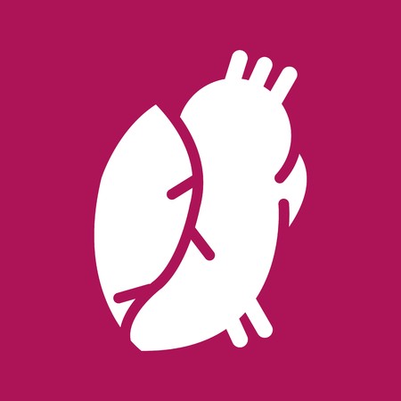Vector Medical Heart Iconのイラスト素材