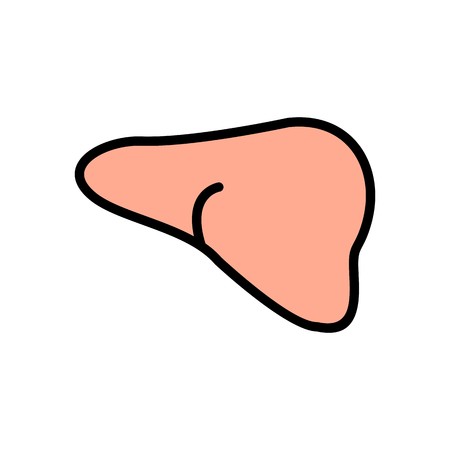 Vector Liver Iconのイラスト素材