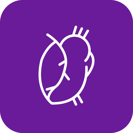 Vector Medical Heart Iconの写真素材