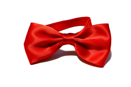 Bow-tie on a white backgroundの写真素材