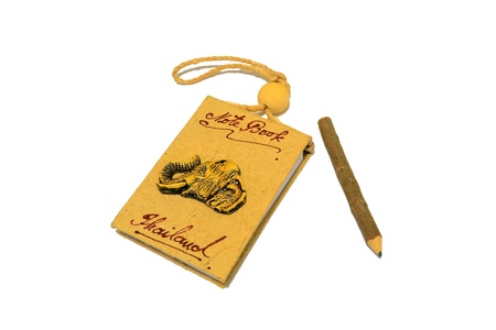Souvenir from Thailandの写真素材