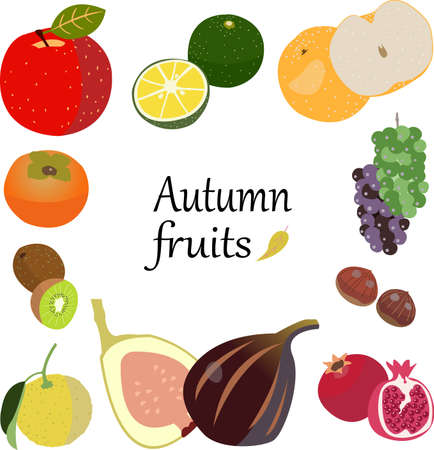 illustration of autumn fruits - an appleのイラスト素材