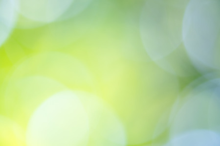 green bokeh background from nature under tree shadeの写真素材