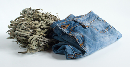 Blue jeans and salvia on white backgroundの写真素材