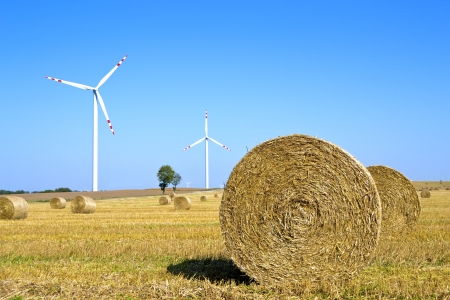 Bioenergy の写真素材