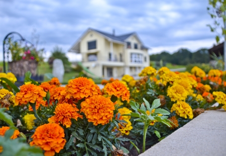 Beautiful small flower garden and house in background の写真素材