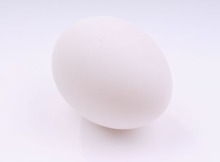 egg