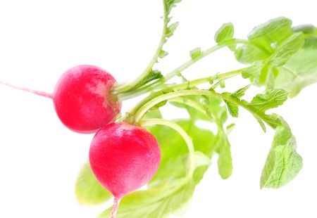 red radish on the mirrorの写真素材