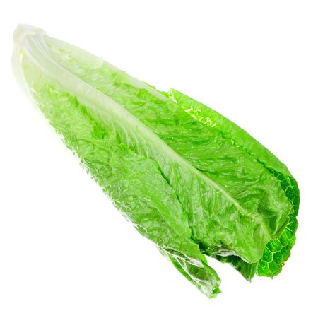 romaine lettuceの写真素材