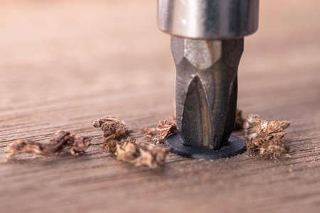 Screwdriver screw in a wood oaks plank. Self-tapping screw for PH2 bit. Screws macro photo....