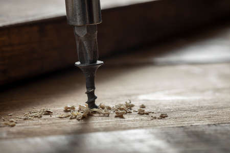 Self-tapping screw screwed into a wooden board close-up. Screw for woodの写真素材