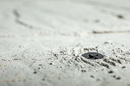 Black self-tapping screw screwed into a dowel installed in concreteの写真素材