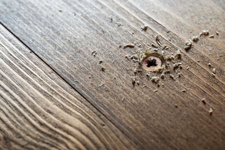 Self-tapping screw screwed into a wooden board close-up. Screw for woodの写真素材