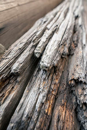 Log wall of an old wooden utility shed. Old rotten log.
