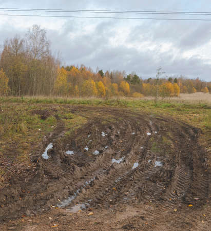 Tire tracks on a muddy dirt road. Autumn forest.