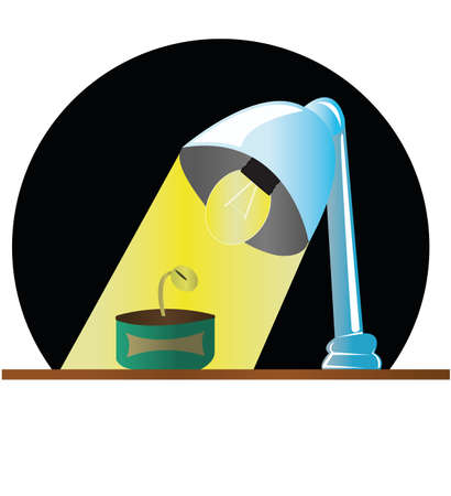 lamp and plant illustrationのイラスト素材