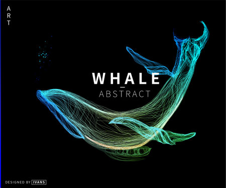 Abstract vector illustration of color whale , draw color line art style. whale style Aのイラスト素材
