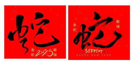 Chinese calligraphy. Translation: 2025 Happy Snake New Year. Vector illustration. No.Dのイラスト素材