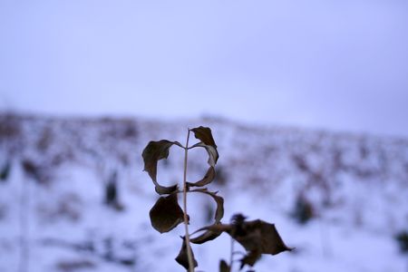 Lonelyの写真素材