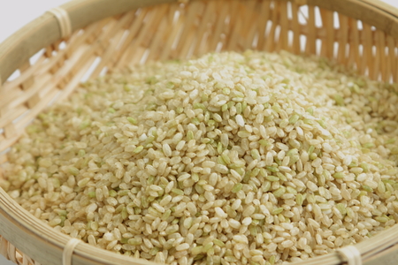 Germinated brown riceの写真素材