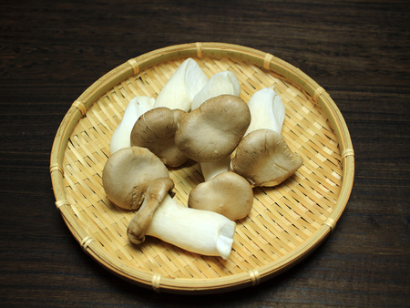 King Oyster mushroom isolatedの写真素材