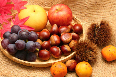 Autumn fruits, purple grapes, pears, chestnuts, persimmons, apples,の写真素材
