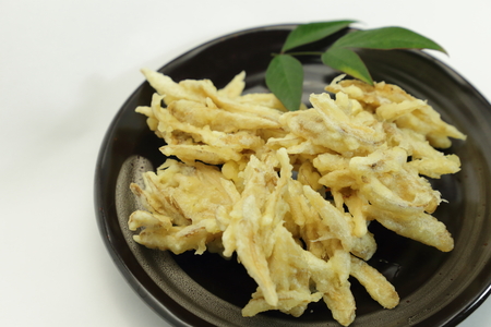 Tempura of burdock root, Japanese foodの写真素材