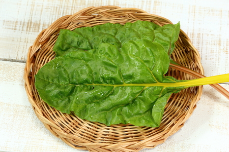Freshly picked green and red colored swiss chardの写真素材
