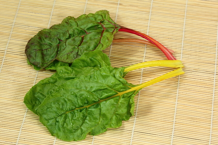 Freshly picked green and red colored swiss chardの写真素材