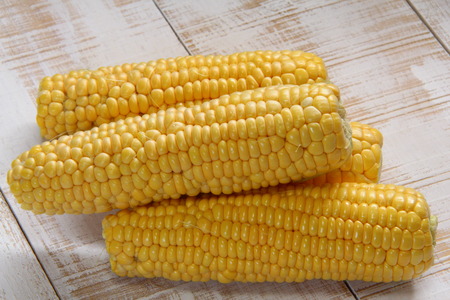 Sweet corn isolated on a white backgroundの写真素材