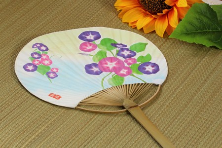A Japanese fan, Morning gloryの写真素材