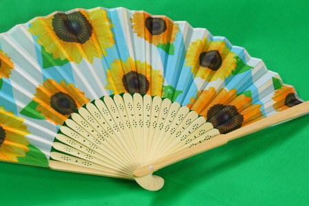 Japanese folding fan on green background, Sunflowerの写真素材