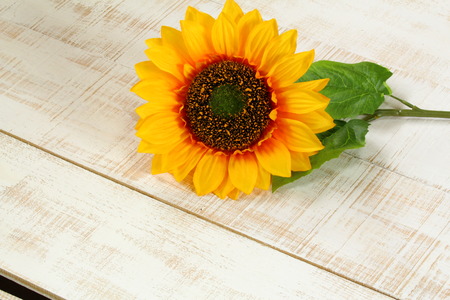 Yellow Sunflower Bouquet on White Rustic Background, Space for Textの写真素材