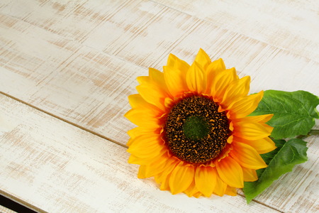 Yellow Sunflower Bouquet on White Rustic Background, Space for Textの写真素材