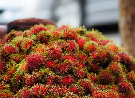 Group of Rambutan in basket, Tropical fruit in Thailandの写真素材