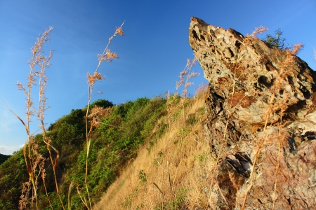 the grass on the hillの写真素材