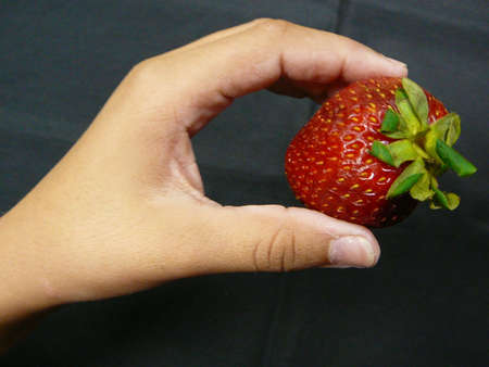 Hand picking up strawberryの写真素材