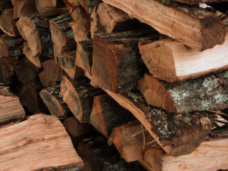Firewood