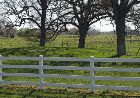 Rural Sceneの写真素材