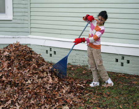 girl raking leavesの写真素材