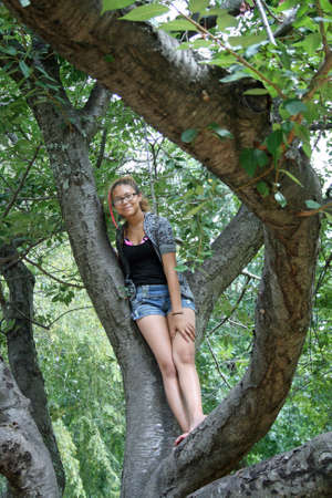 Massive Southern Magnolia Treeの写真素材