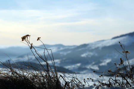 Winter in the highlandsの写真素材