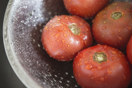 Fresh Tomatoes with water drops from Vegetable Garden are washed in the Kitchen sink prior to being used for cooking. Autumn Harvest for lunch, organic farming. Natural Daylight, soft focus close-upの写真素材